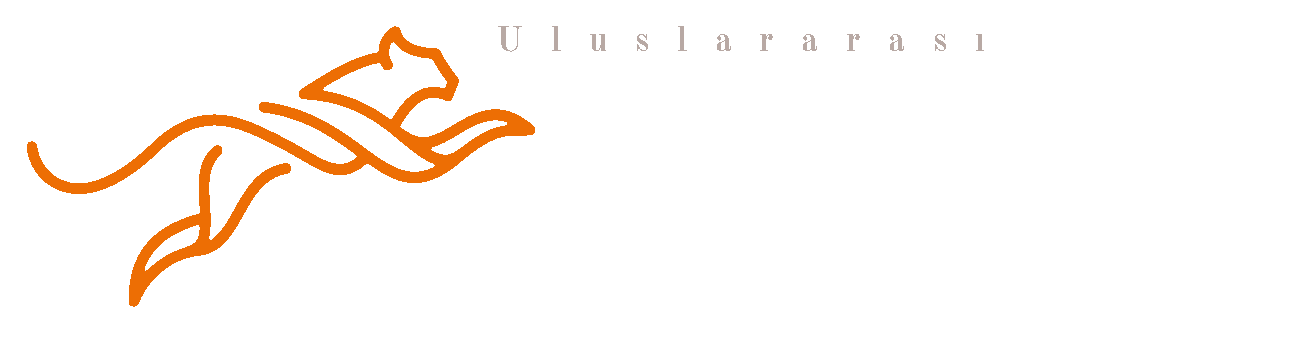 Uluslararası Rekabet Akademisi